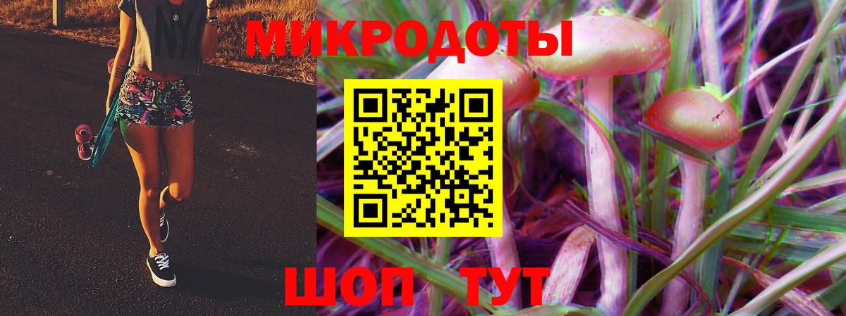 Галлюциногенные грибы Psilocybe Беслан